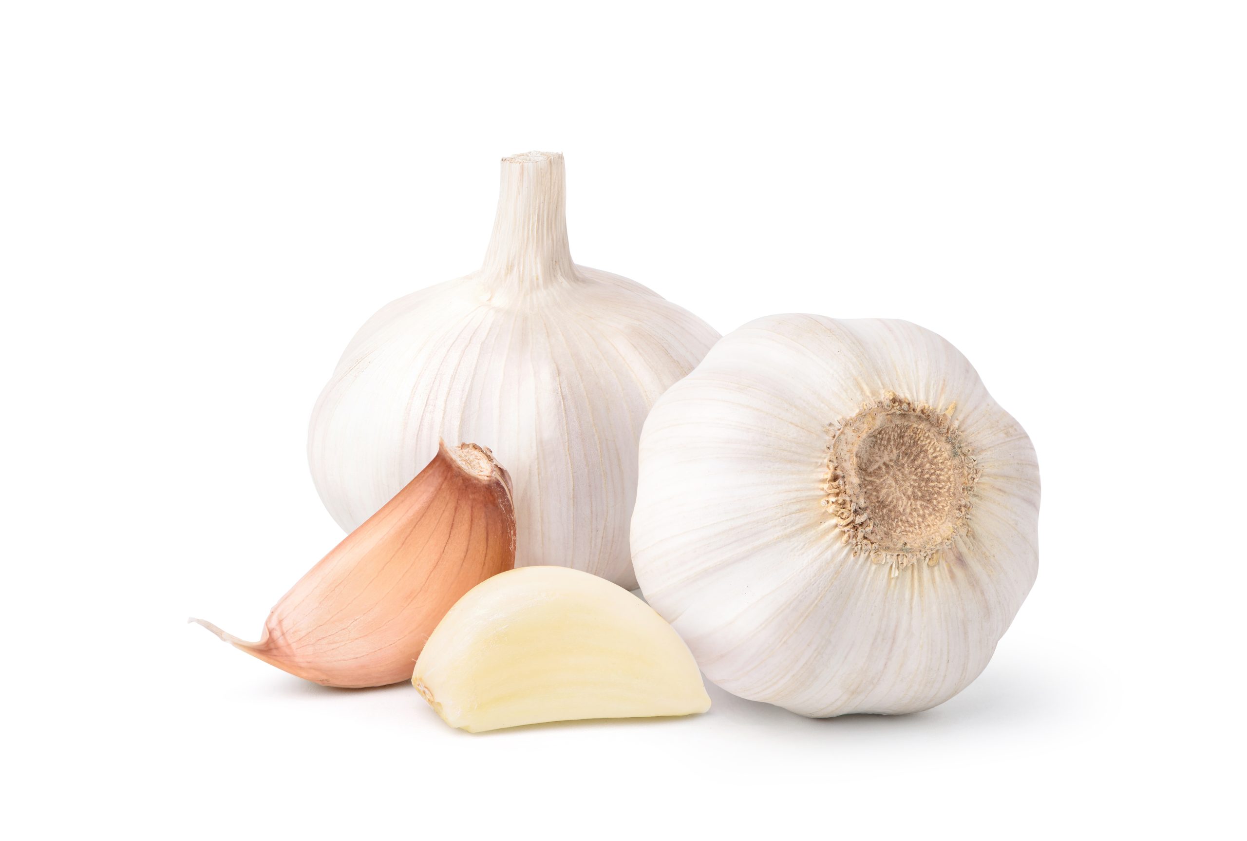 Peeled Garlic Cloves and Bulb isolated on white background.