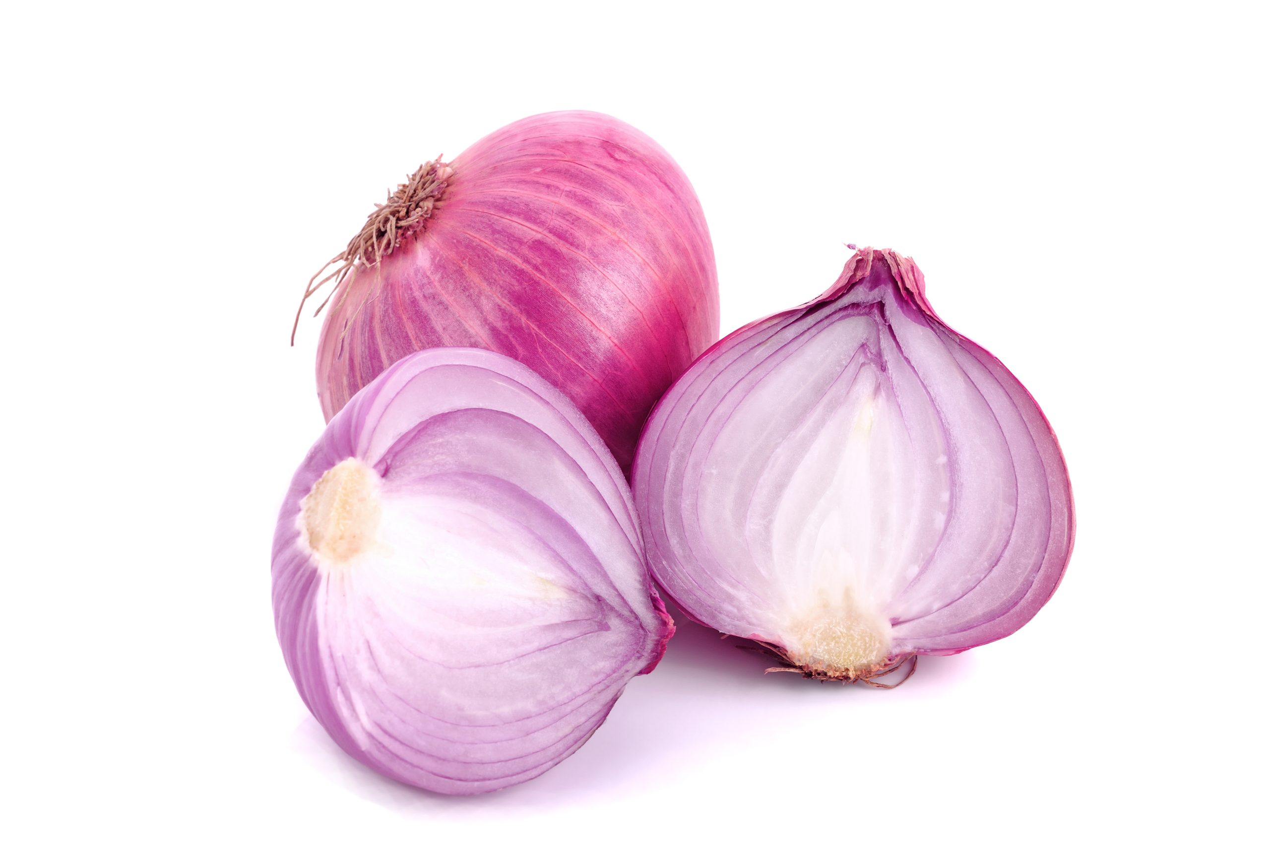Slices of shallot onions on white background