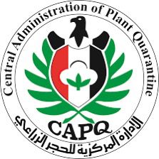 WhatsApp Image 2025-09-09 at 18.34.28